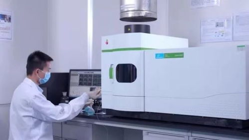 濱海新城光學儀器項目即將投產，戰略性新興產業再添新動能